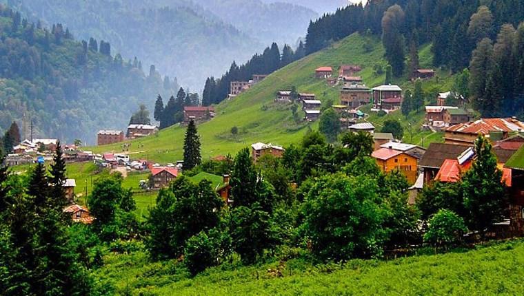 Rize