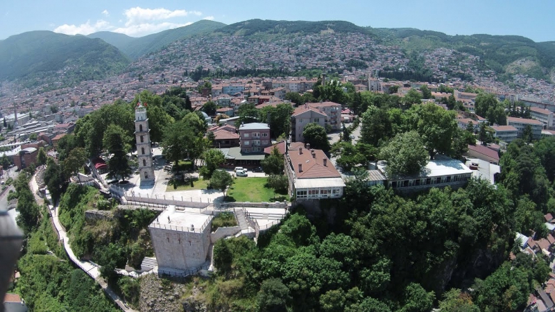 Bursa